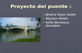 Proyecto Del Puente de Navelgas