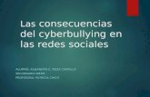 Cyberbullying meza alejandro2ndoA