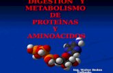 Nutricion ix digestion y metabolismo de proteinas y aminoacidos
