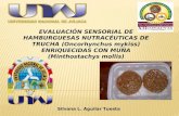 XII CONACYTA - EVALUACIÓN SENSORIAL DE HAMBURGUESAS NUTRACÉUTICAS DE TRUCHA ...