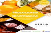 ProColombia Guía de oportunidades  Huila