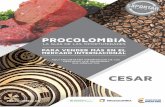ProColombia guía de oportunidades Cesar
