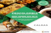 ProColombia guía de oportunidades Caldas