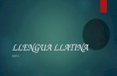 Llengua llatina