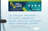 Ley Energías Renovables y Eficiencia Energética: mejoras necesarias para atraer nuevas inversiones privadas