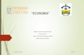 Economia proyecto[1]