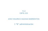 Presentacion de t.i.c  mauricio salinas