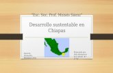 Desarrollo sustentable de Chiapas