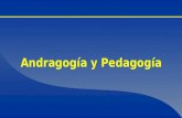 Andragogía y Pedagogía
