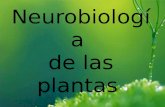 8.1.2 neurobiologia vegetal
