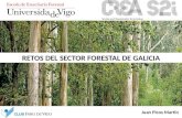 Retos del Sector Forestal de Galicia