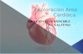 Exploracion cardiaca didactico