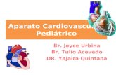 Anatomia cardiovascular pediatrica