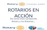 Rotarios en acción