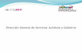Dirección General de Servicios Jurídicos y Gobierno (2)