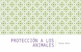 Protección a los animales
