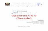 Informe sobre la Operación Secado - DEPLA -  Procesos Químicos