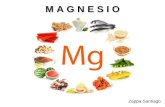 Magnesio - Octubre 2015