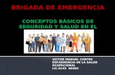 Brigadas de emergencia ppt expo victor
