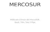 Mercosur bauti pipe y toto (3)