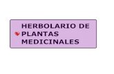Herbolario de plantas medicinales.