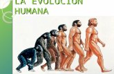 Tema1. evolución y origen ser humano.