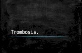 4.4 trombosis