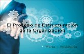 El proceso de estructuración de la organizacion.