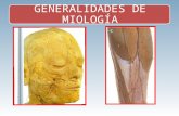 generalidades de miología