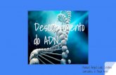 Descubrimento do ADN