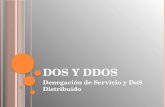 Denial of Services (DoS / DDoS)