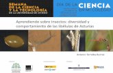 Aprendiendo sobre insectos: diversidad y comportamiento de las libélulas de Asturias