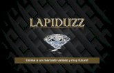 Presentación Lapiduzz Español