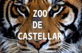 Claudia palomo tenorio zoo de castellar