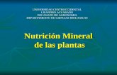 Nutricion mineral de las plantas