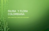 Fauna  y flora colombiana