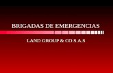 Brigadas de emergencias