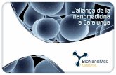L'aliança de la nanobiomedicina a Catalunya