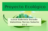 Proyecto ecológico