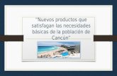 Nuevos productos que satisfagan las necesidades basicas de la poblacion de cancun