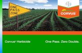 Corvus Corn Herbicide - 2012 Brand Presentation