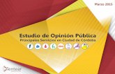 Estudio de Opinión Pública Servicios Córdoba