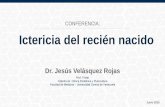 Ictericia del recién nacido. Dr. Jesús Velásquez Rojas