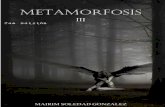 Metamorfosis (iii)