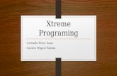 Xtreme programing