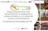 S3.p2.3 Riego suplementario una herramienta en la adaptación al cambio climático en el cultivo de cacao en Centroamérica