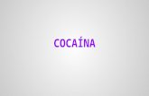 Cocaína: Efectos en el cuerpo