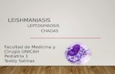 Leishmaniasis,leptospirosis y chagas