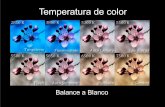 1 temperatura color balanceblancos