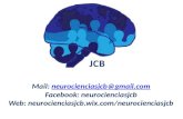 4 plasticidad cerebral o neuroplasticidad